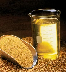 Crude Sunflower Seed Oil of Edible Grade in Bulk 